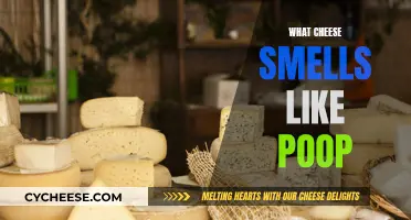 Cheese Whiff: Why Some Cheeses Smell Like Poop
