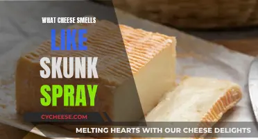 Unraveling the Mystery of Skunk-Like Cheeses: A Sensory Adventure