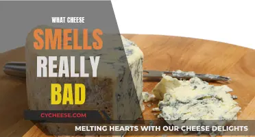 The Stinkiest Cheeses: A Guide to the Nastiest Niffs