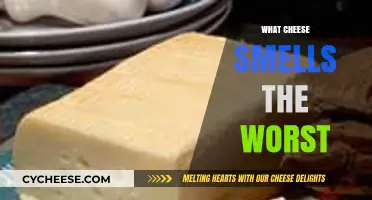 Unveiling the Stinkiest Cheeses: Which One Smells the Worst?