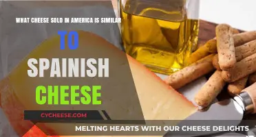 Discover American Cheeses That Rival Spain's Iconic Flavors and Texture