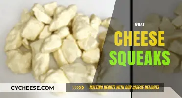 Why Does Cheese Squeak? Unraveling the Science Behind the Sound