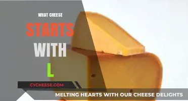 Luscious Cheeses Starting with L: A Tasty Exploration of Varieties