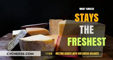 Discover the Longest-Lasting Cheeses: Freshness Secrets Unveiled