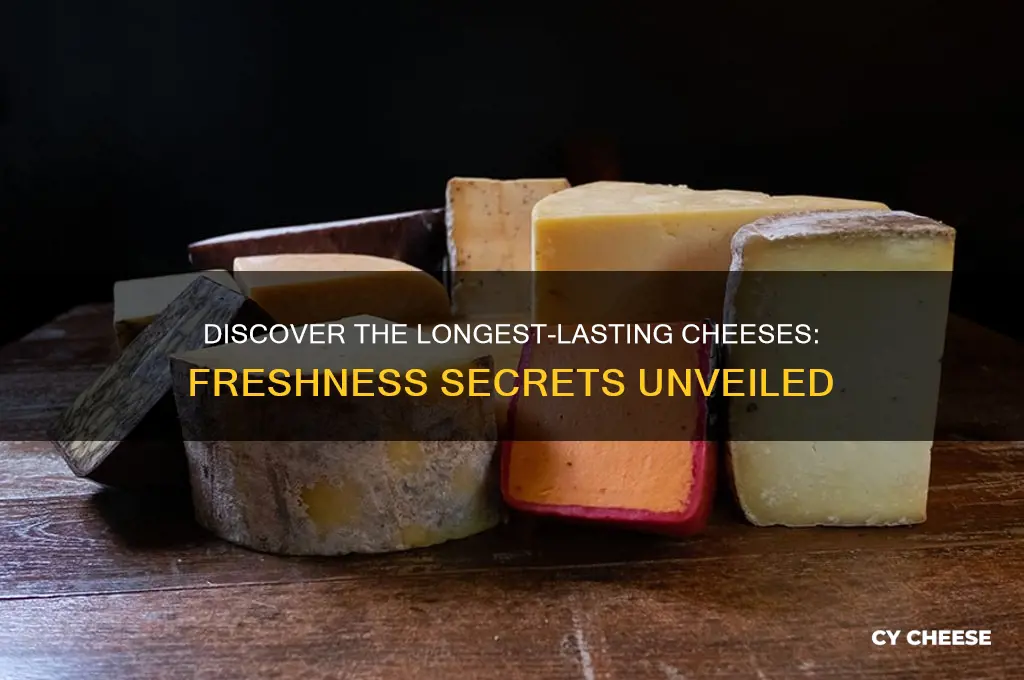 what cheese stays the freshest