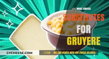 Perfect Gruyere Alternatives: Top Cheese Substitutes for Your Recipes