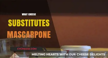 Creamy Alternatives: Best Cheese Substitutes for Mascarpone in Recipes