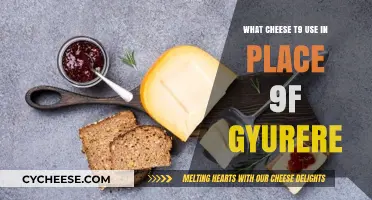 Cheese Swaps: Alternatives to Gruyere in Your Fridge