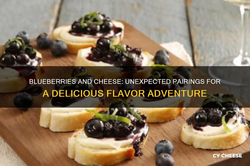 what cheese taste good with blue berries