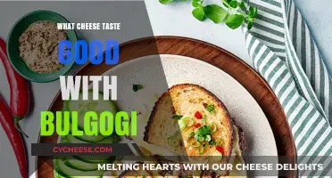 Bulgogi's Best Match: Top Cheeses to Elevate Your Korean BBQ