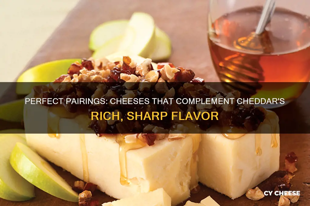 what cheese tastes good with cheddar