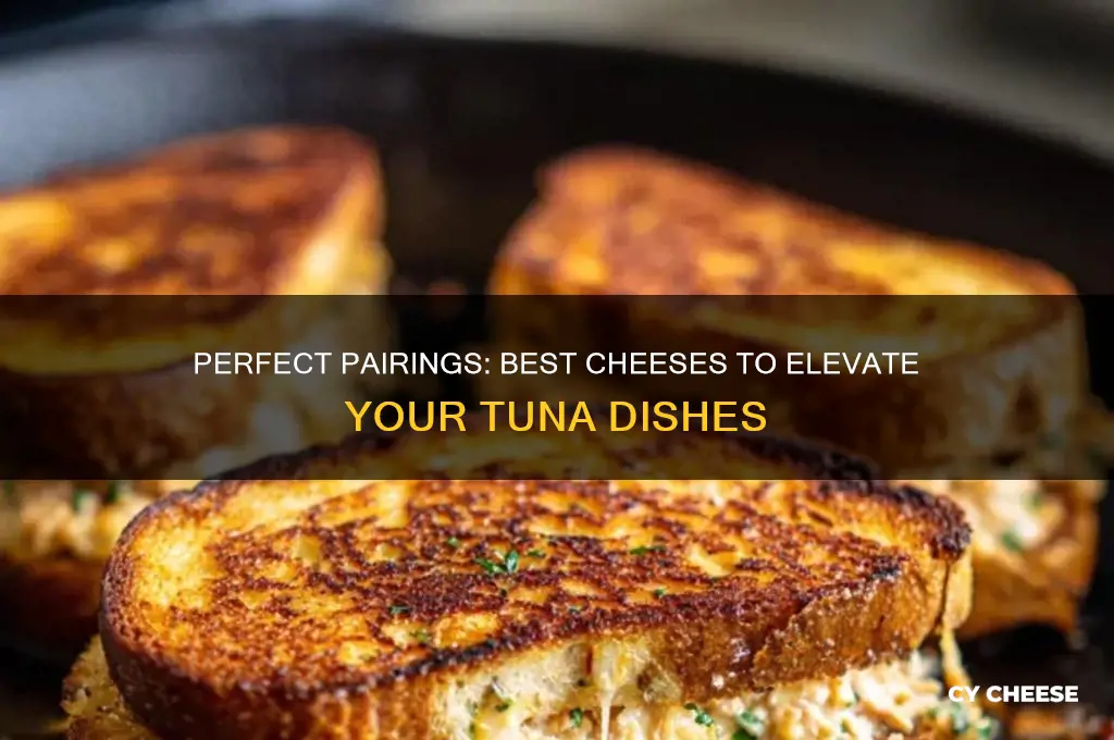what cheese tastes good with tuna