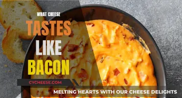 Cheese That Tastes Like Bacon: The Ultimate Indulgence