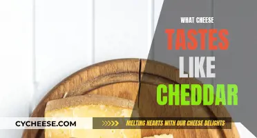 Cheeses That Taste Like Cheddar: A Guide