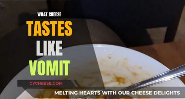 Cheese and Its Vomit-like Taste: What's Behind It?
