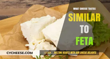 Feta Flavors: Exploring Cheeses with Similar Tastes