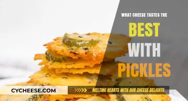 Crunchy Pickles and Cheesy Delights: A Perfect Pairing