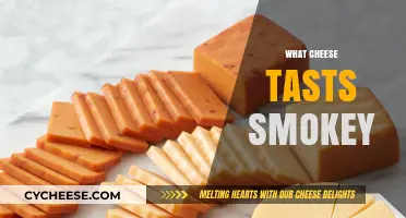 Discover the Best Cheeses with a Rich, Smoky Flavor Profile