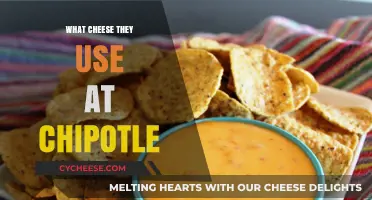Chipotle's Cheese: A Delicious Mystery Solved