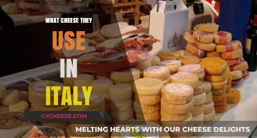 Cheese Varieties in Italy: A Guide