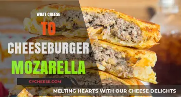Mozzarella Magic: Elevating Your Cheeseburger with the Perfect Cheese Choice