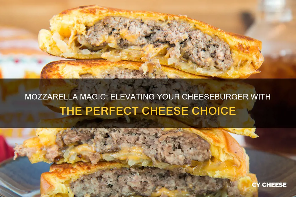 what cheese to cheeseburger mozarella