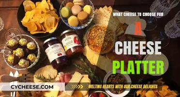 Perfect Cheese Platter: Top Varieties to Delight Every Guest