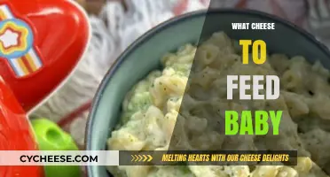 Safe and Nutritious Cheese Options for Your Baby's Diet