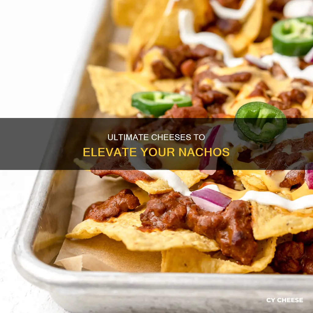 what cheese to get for nachos