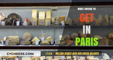 Cheese Lover's Guide to Paris
