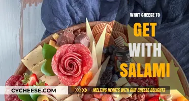 Salami's Perfect Cheese Partners: A Guide