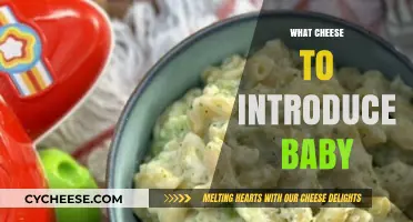 Introducing Cheese to Your Baby: Safe and Tasty First Choices