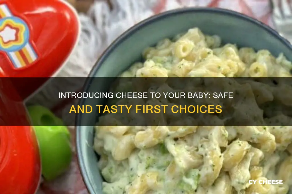 what cheese to introduce baby