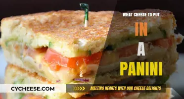 Panini Perfection: Choosing the Right Cheesy Fillings
