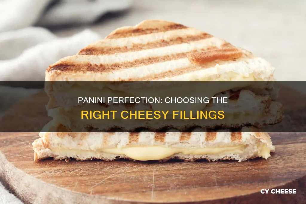 what cheese to put in a panini