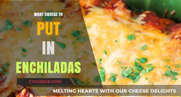 Cheese Enchiladas: The Ultimate Guide to Melty Deliciousness