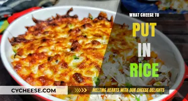 Best Cheeses to Elevate Your Rice Dishes