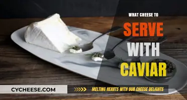 Caviar and Cheese: The Perfect Pairing Guide