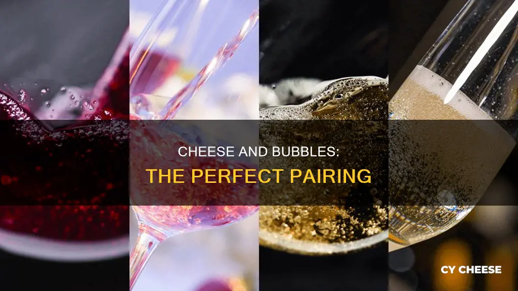 what cheese to serve with sparkling crement or champagne