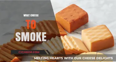 Best Cheeses for Smoking: Top Picks for Flavorful, Melty Results