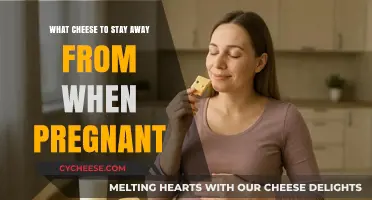 Pregnancy Cheese Guide: Which Varieties to Avoid for Safety