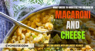 Mac and Cheese Makeover: 5 Cheddar Alternatives Explored