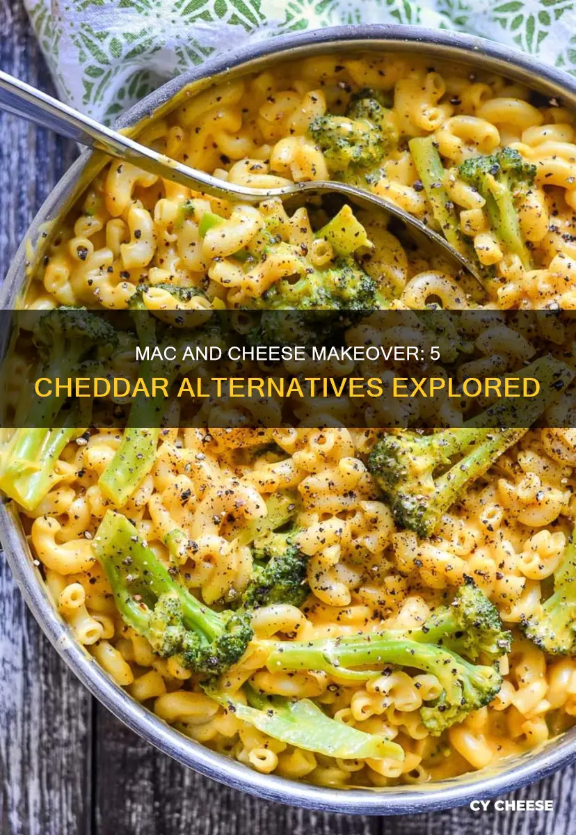 what cheese to substitue for cheddar in macaroni and cheese