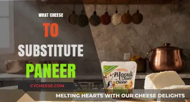 Perfect Paneer Substitutes: Top Cheese Alternatives for Your Favorite Dishes