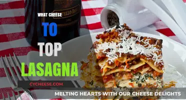 Perfect Lasagna Toppings: Best Cheeses to Elevate Your Classic Italian Dish