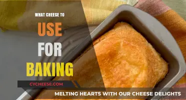 Cheese Types for Baking: A Beginner's Guide