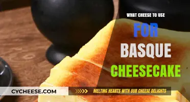 Best Cheeses for a Basque Cheesecake: Creamy, Dreamy, Decadent
