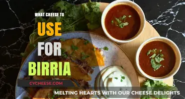 Birria's Best Cheese: Melty, Stringy, and Flavorful