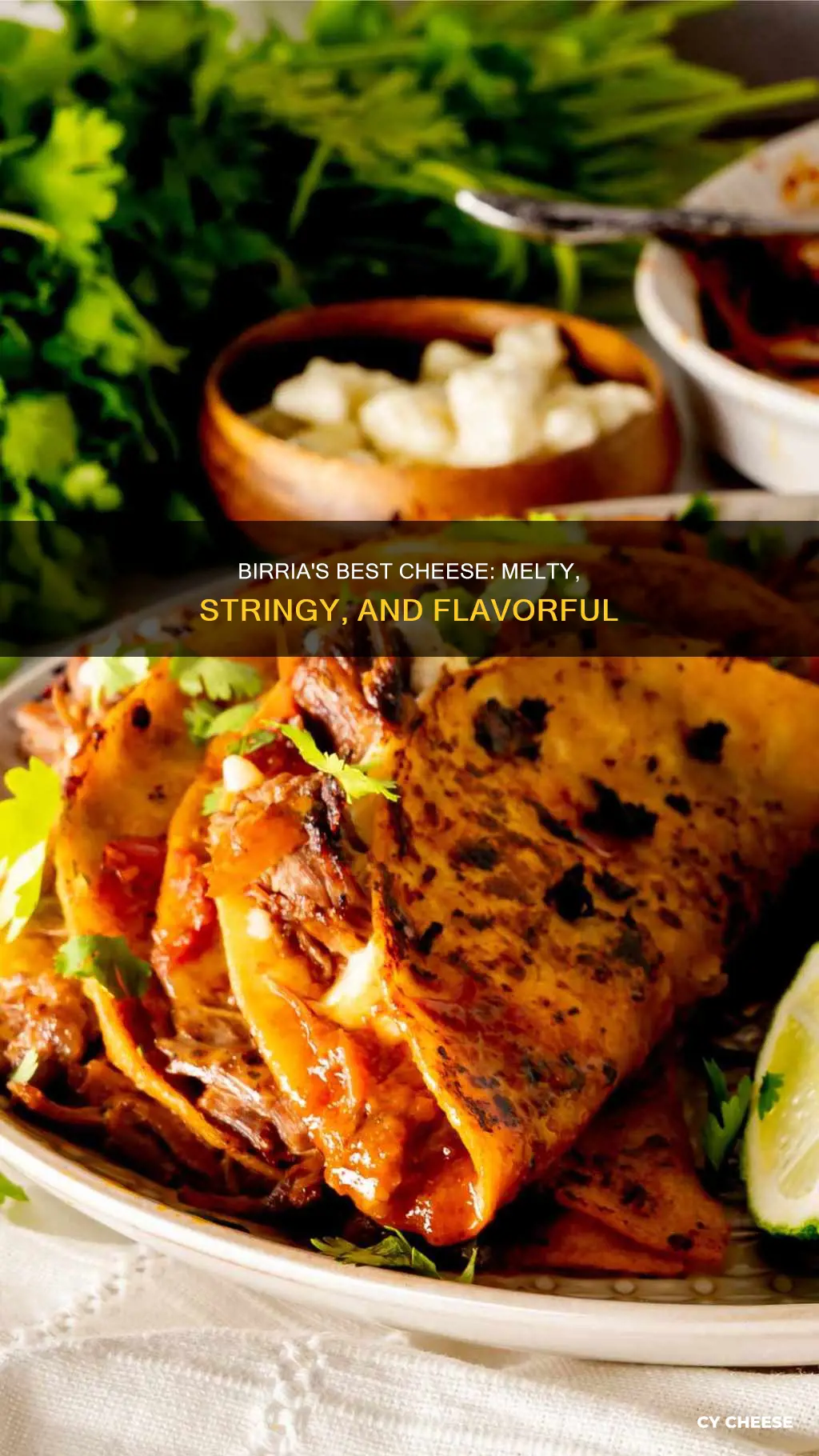 what cheese to use for birria