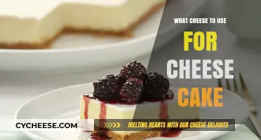 The Best Cheeses for a Delicious Cheesecake